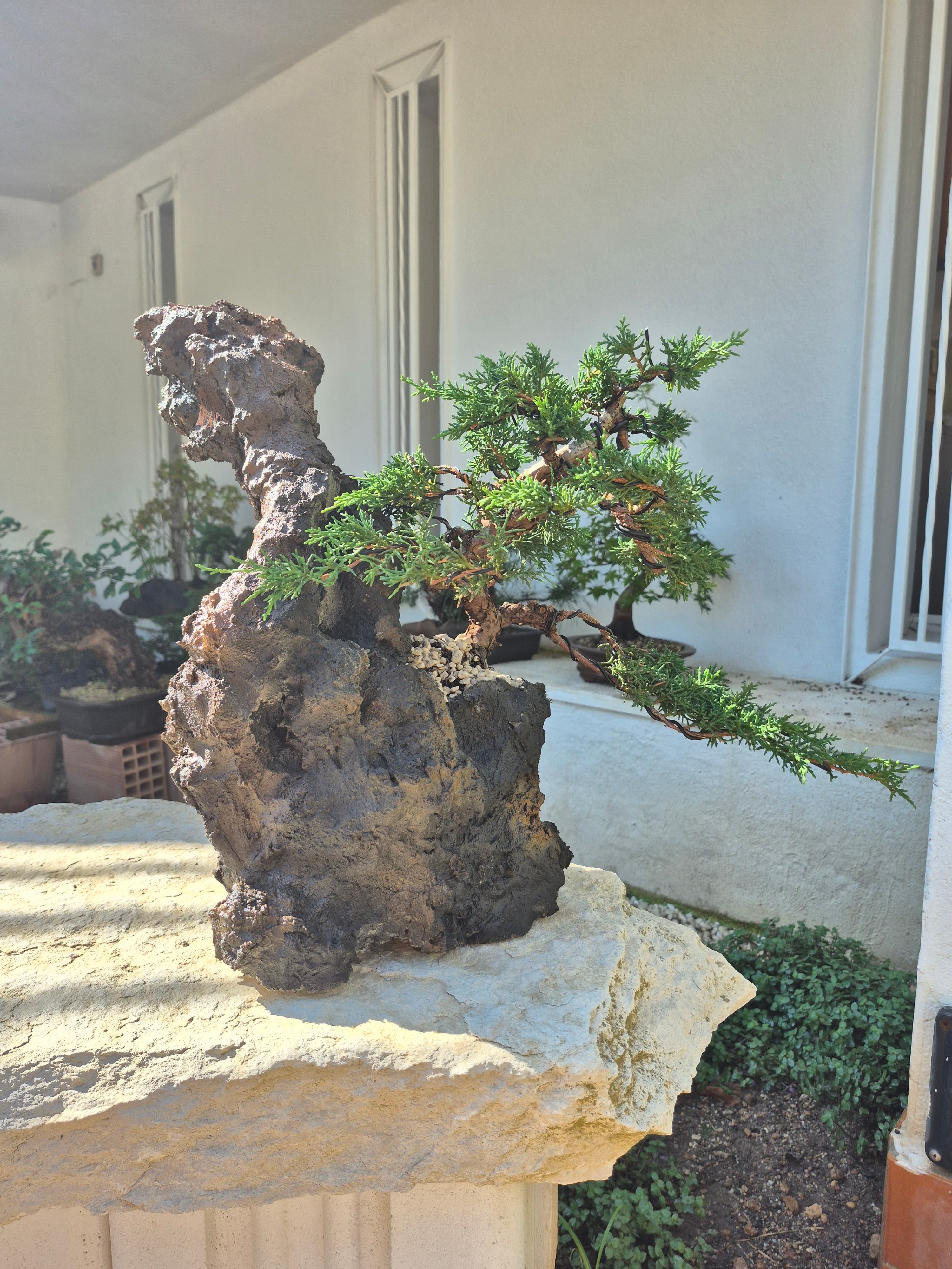 Ishizuki composition Bonsai with Kishu juniper - Piece 2