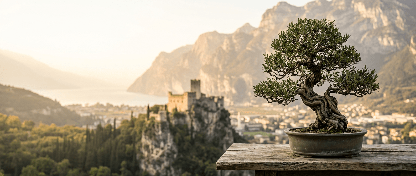 Bonsai a Arco, Trentino-Alto Adige