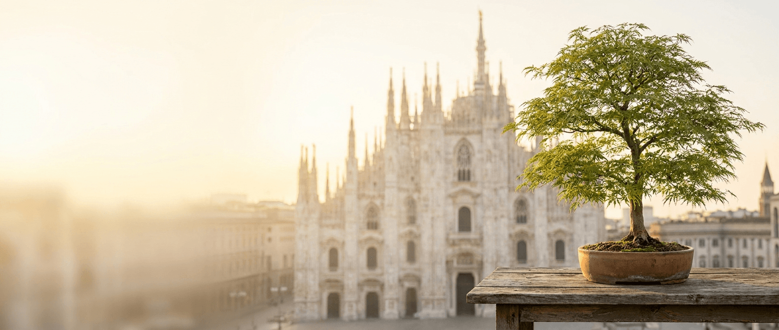 Bonsai a Milano, Lombardia