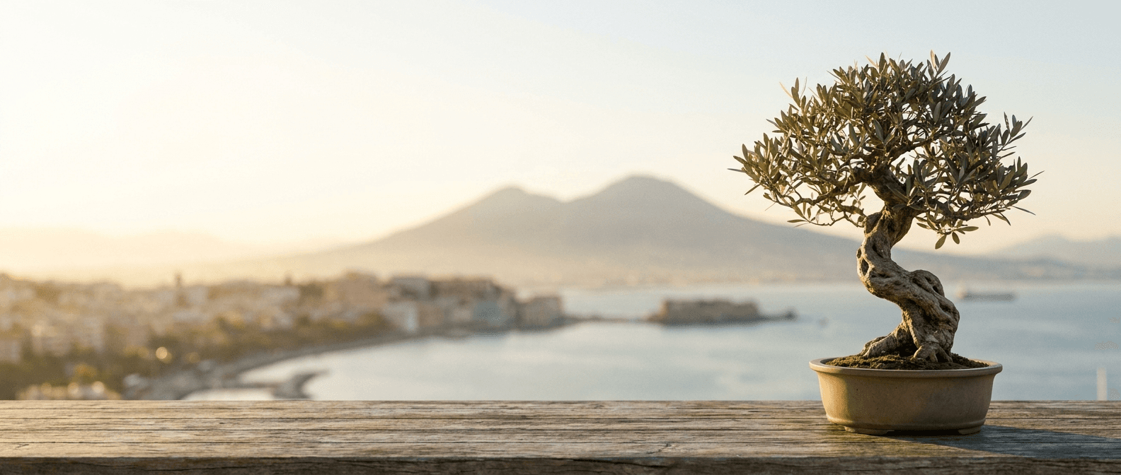 Bonsai Napoli, Campania