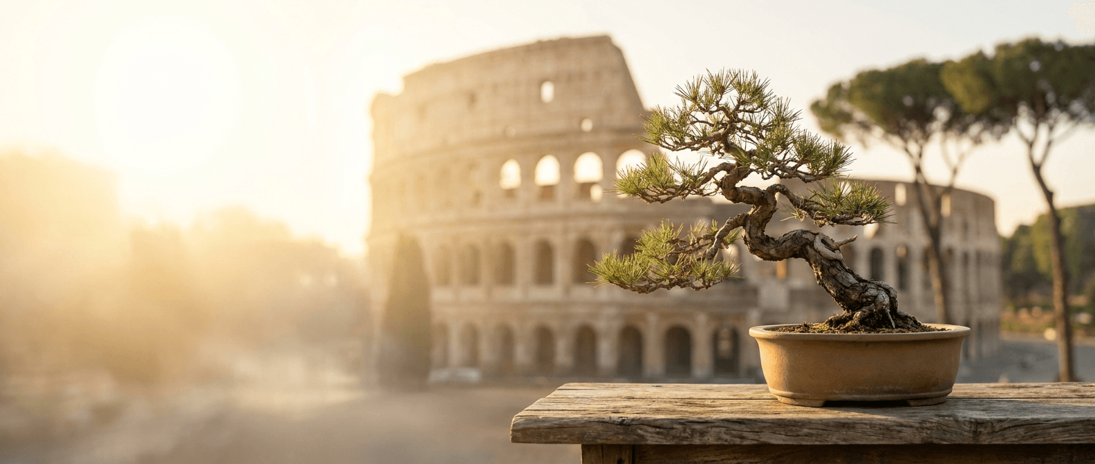 Bonsai a Roma, Lazio