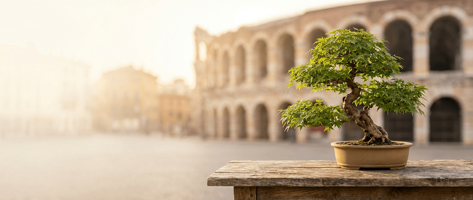 Bonsai a Verona, Veneto