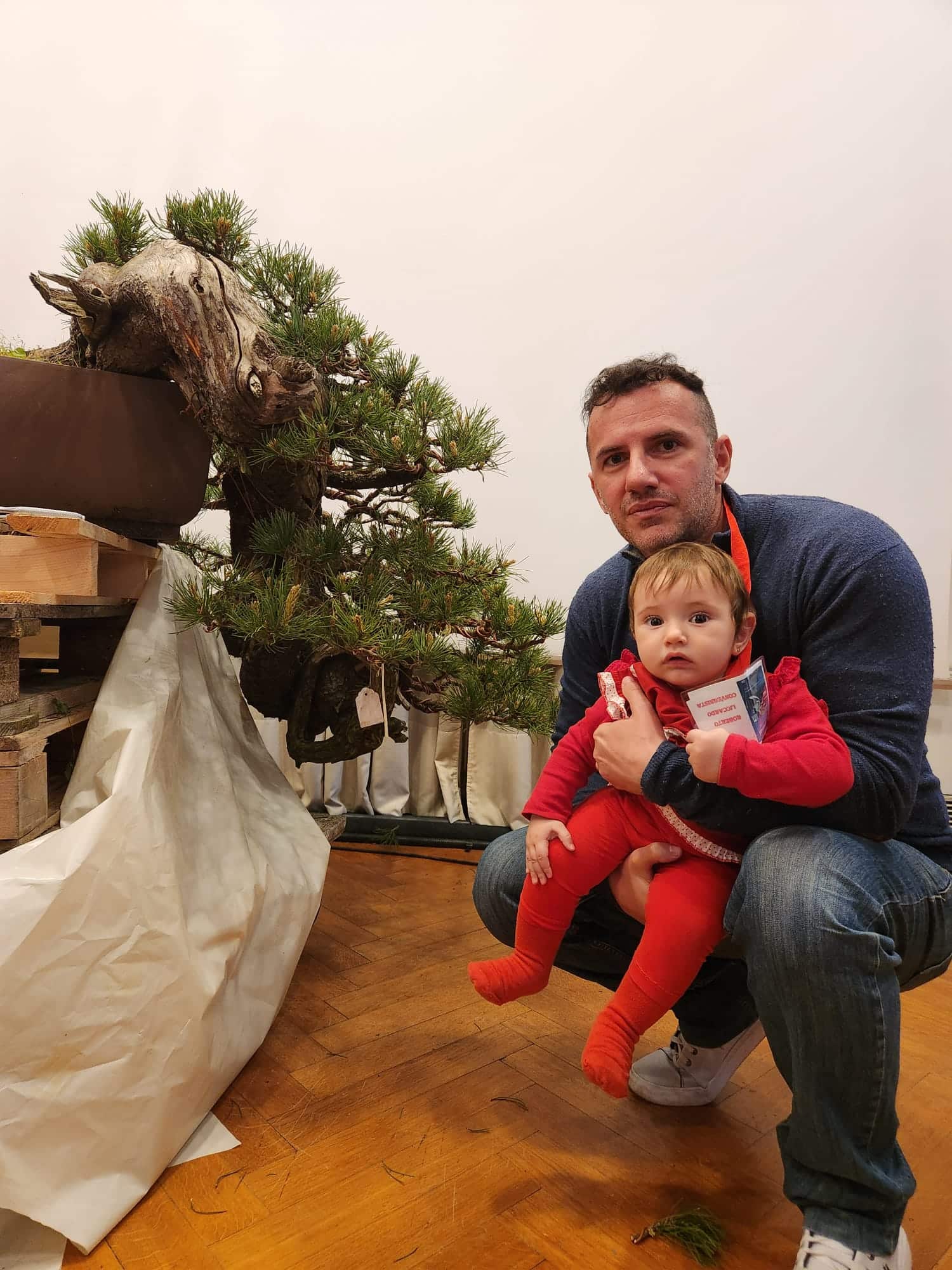 WeBonsai nursery