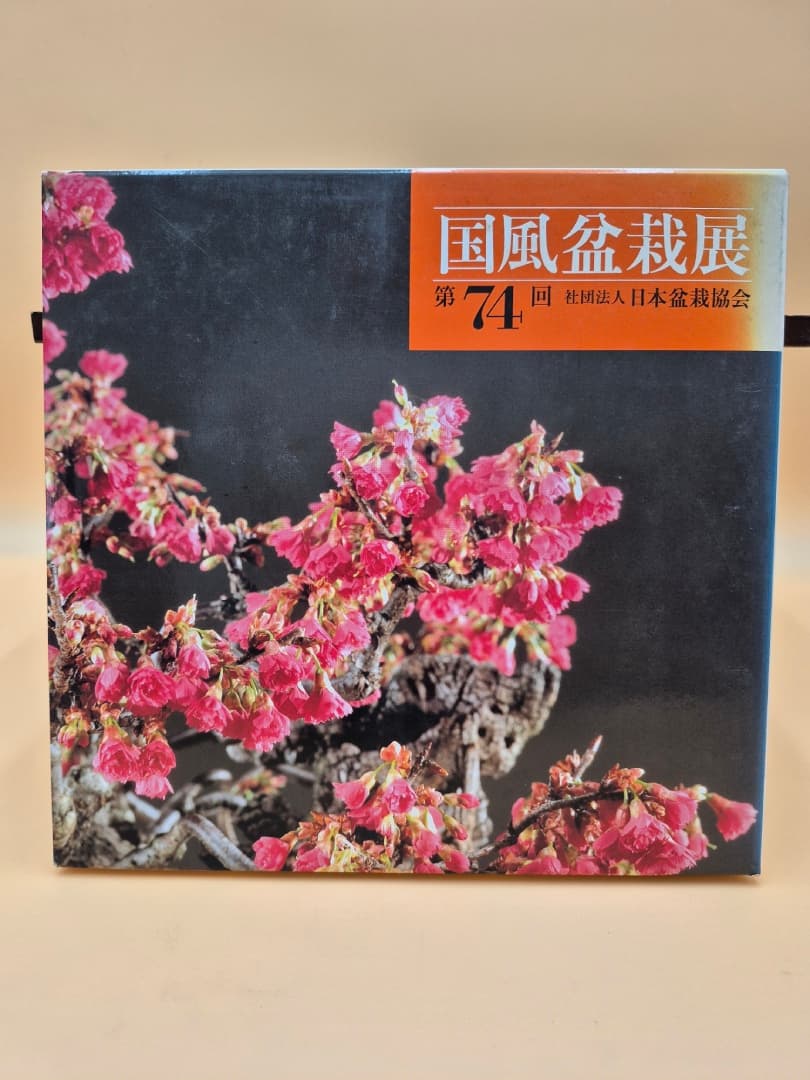 Kokufu Bonsai Ten # 74