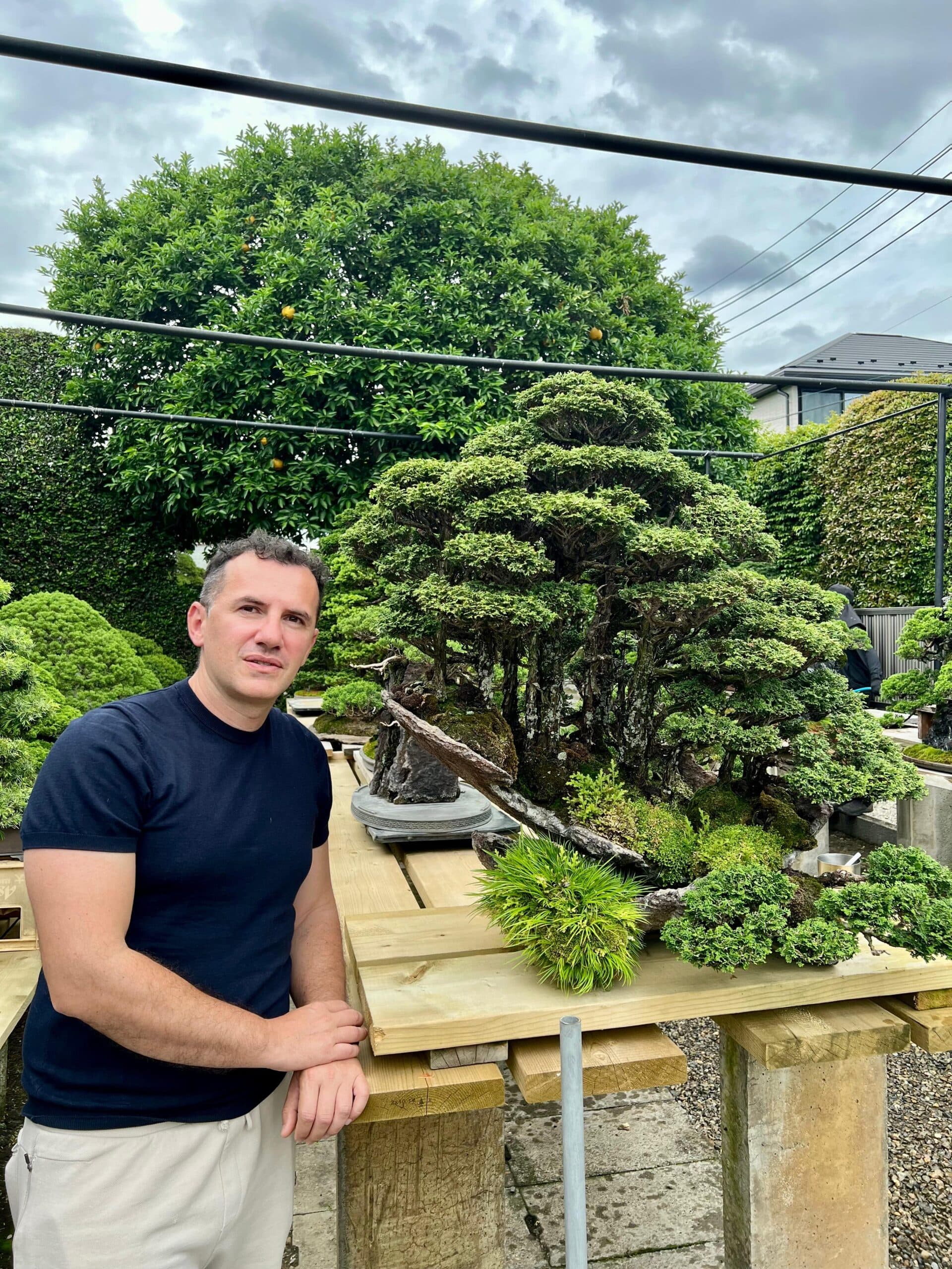 WeBonsai nursery