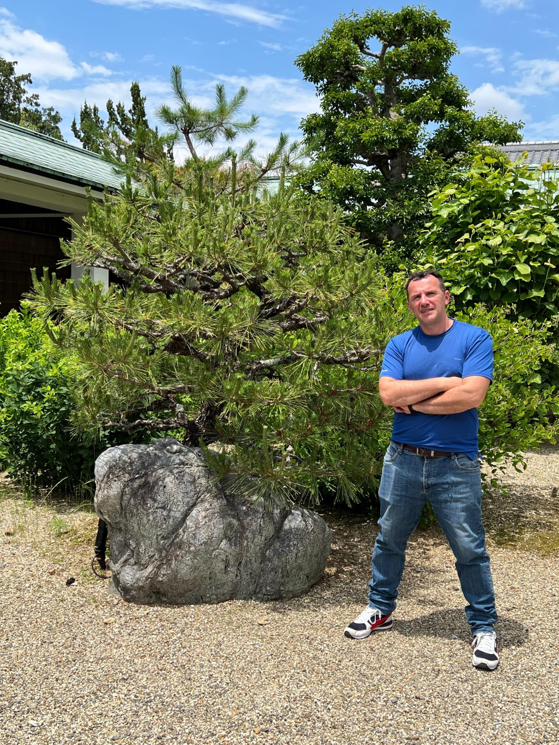 WeBonsai nursery