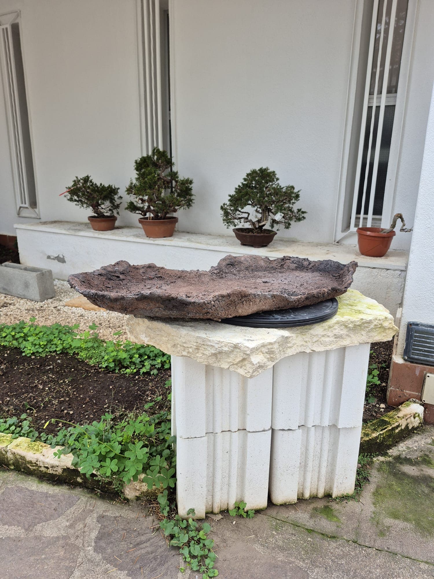 Platte für Bonsai-Wald (85x50cm)
