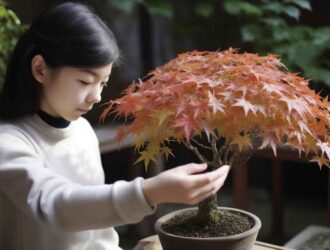 El arce palmatum bonsái belleza y elegancia en miniatura