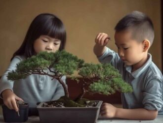 Il bonsai Olmo Cinese un'espressione di eleganza e serenità