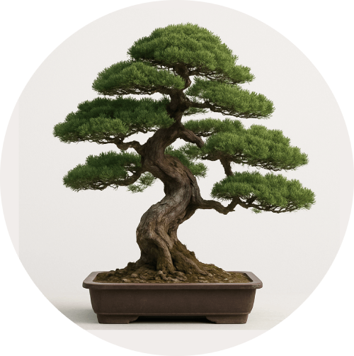 Bonsai