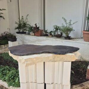 Bonsai Slab 1