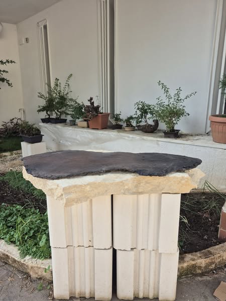 Bonsai Slab 1