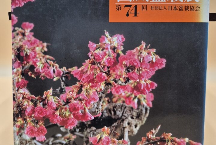 Kokufu Bonsai Ten # 74