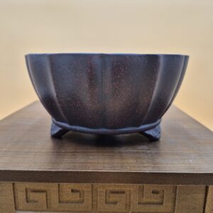 Bonsai Pot 19 x 19 x 9,5 cm