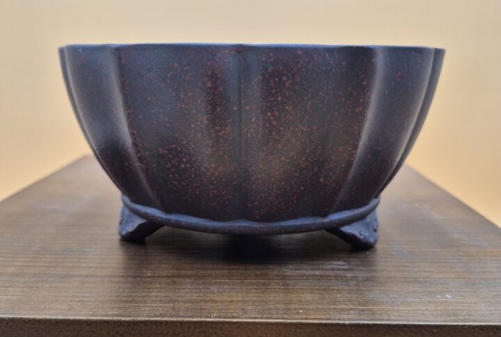 Bonsai Pot 19 x 19 x 9,5 cm