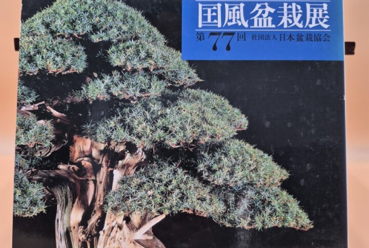 Kokufu Bonsai Ten # 77