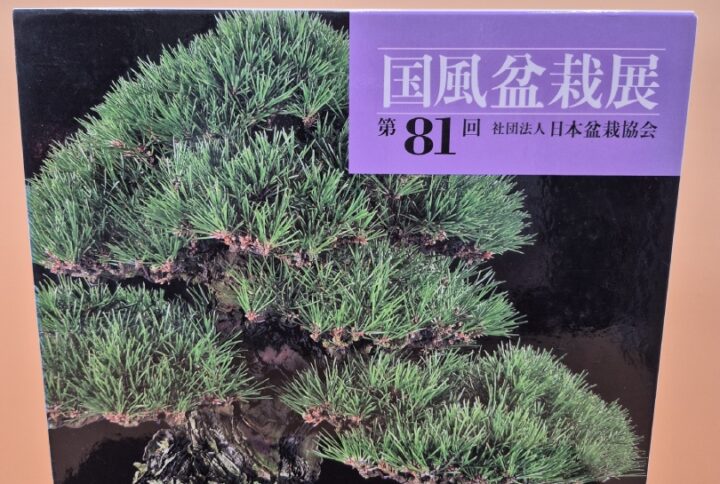 Kokufu Bonsai Ten # 81