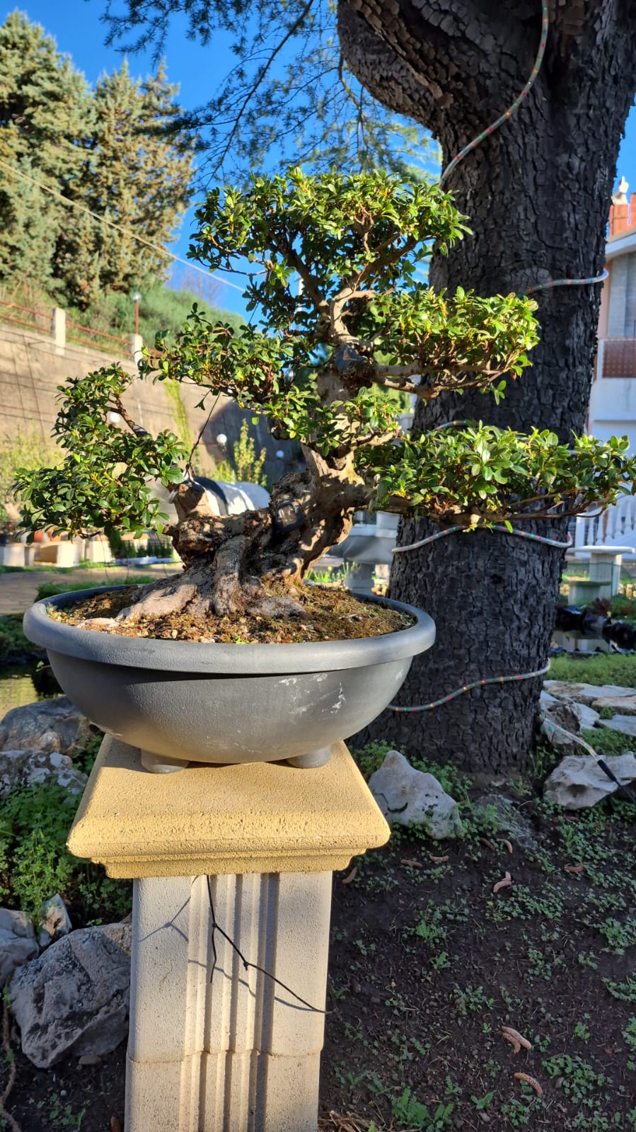 91e1c01d-e65f-4898-944e-01bdf4554b2c