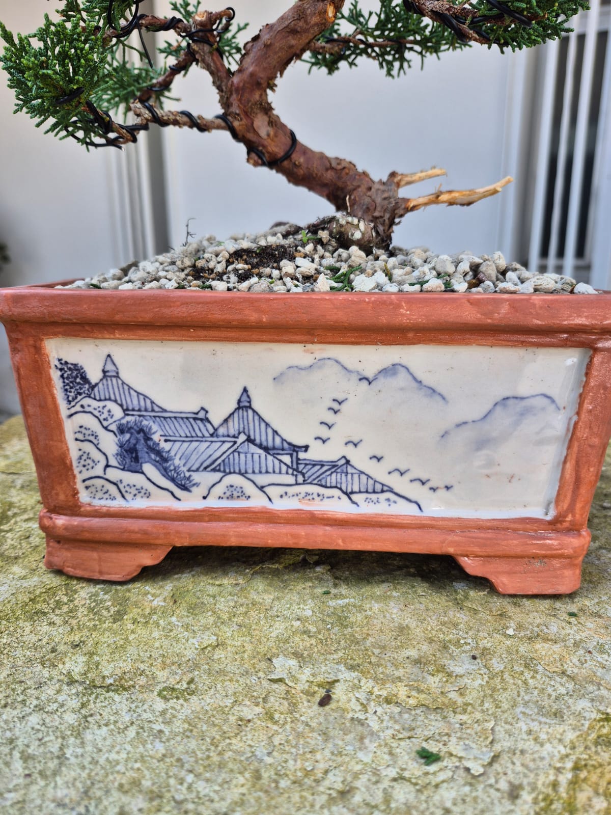 WhatsApp Image 2026-03-21 at 2.23.09 PM (1)