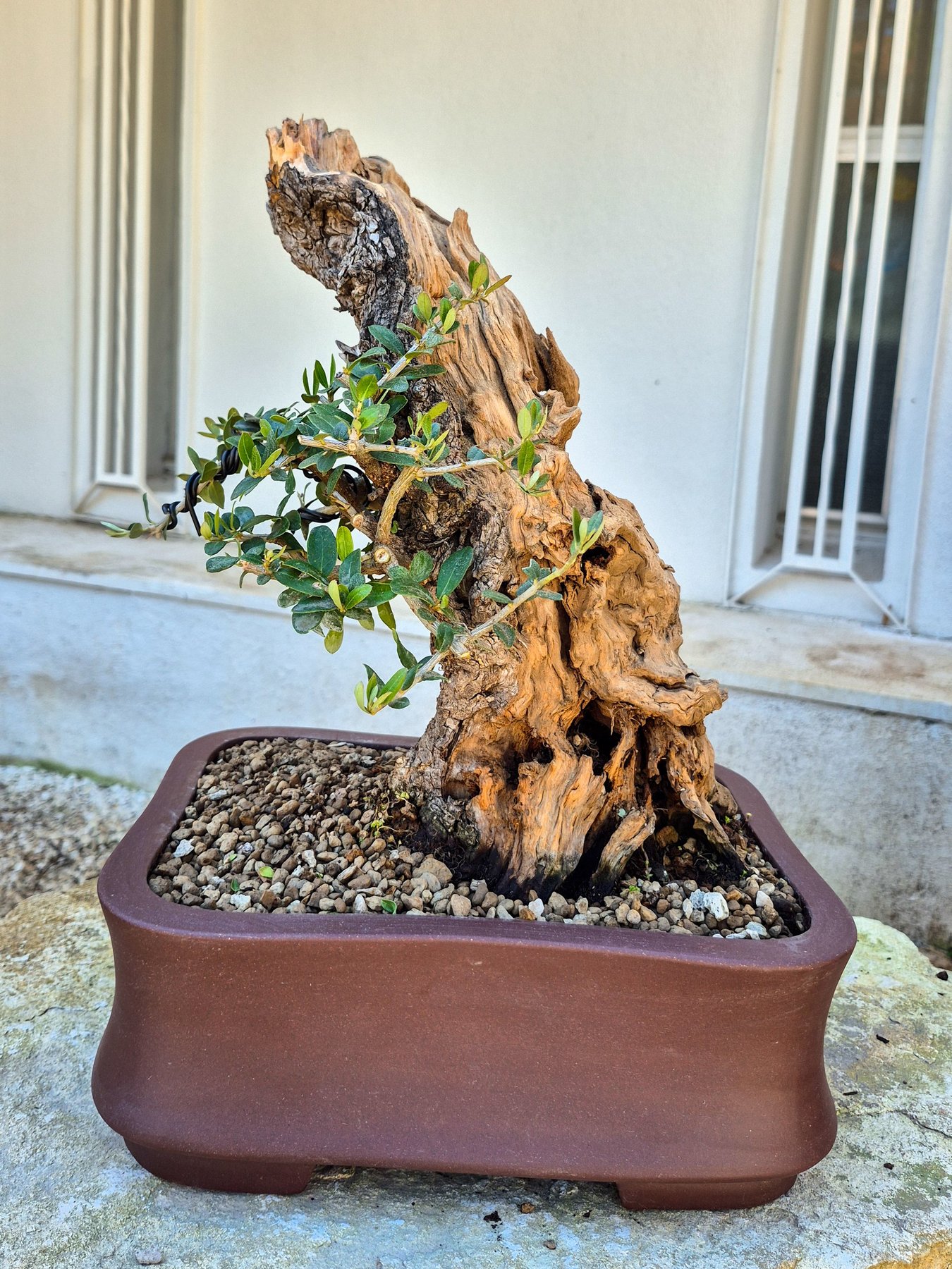 7e622c50-38e9-4372-940f-b8c97c0c7728