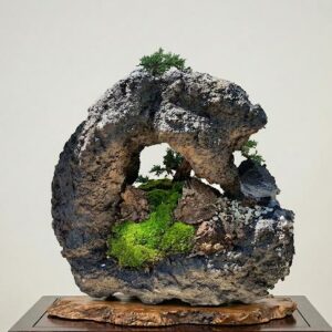 Juniper Kishu bonsai on stone – foliage detail