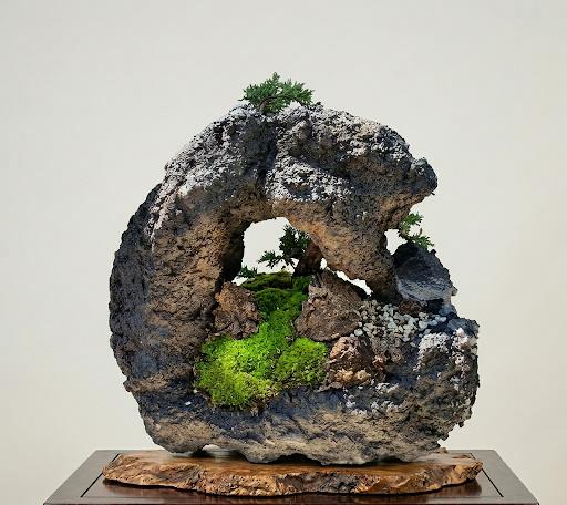 Juniper Itoigawa Kishu on Stone 1