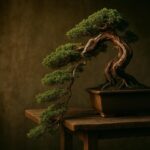 Kaskaden-Bonsai mit unter den Topfboden herabhängendem Stamm im klassischen Kengai-Stil