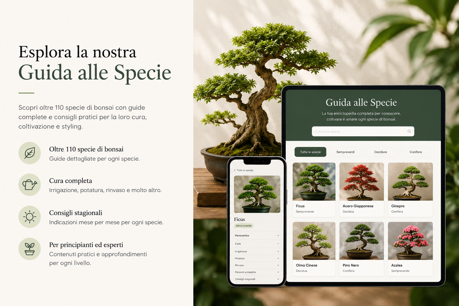 guida-specie-bonsai