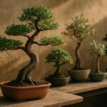 Specie di bonsai facili per principianti su un tavolo da lavoro